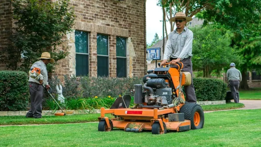 Year-Round Landscape Care and Seasonal Enhancements